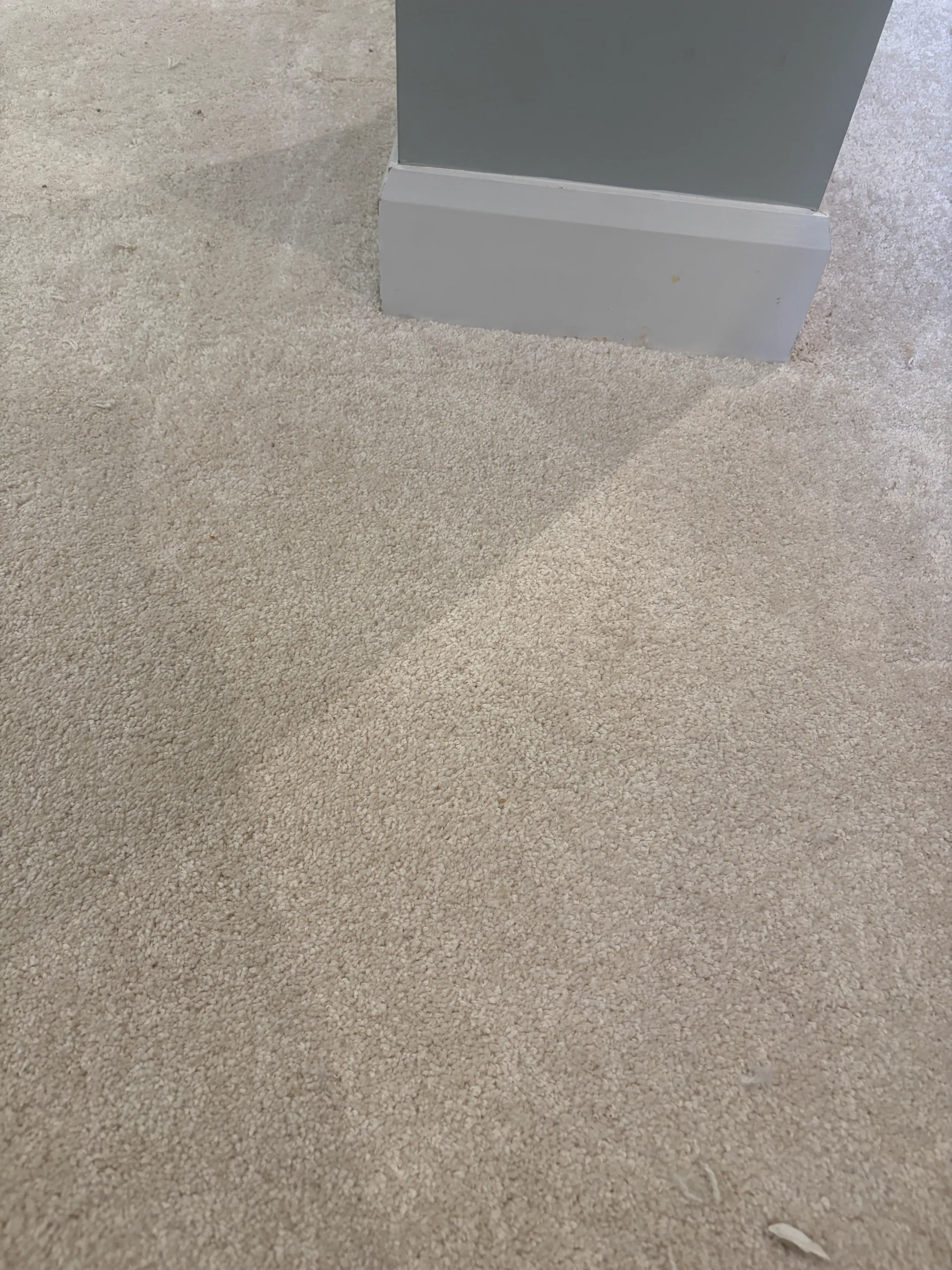 Fibre close-up · Stainmaster plush