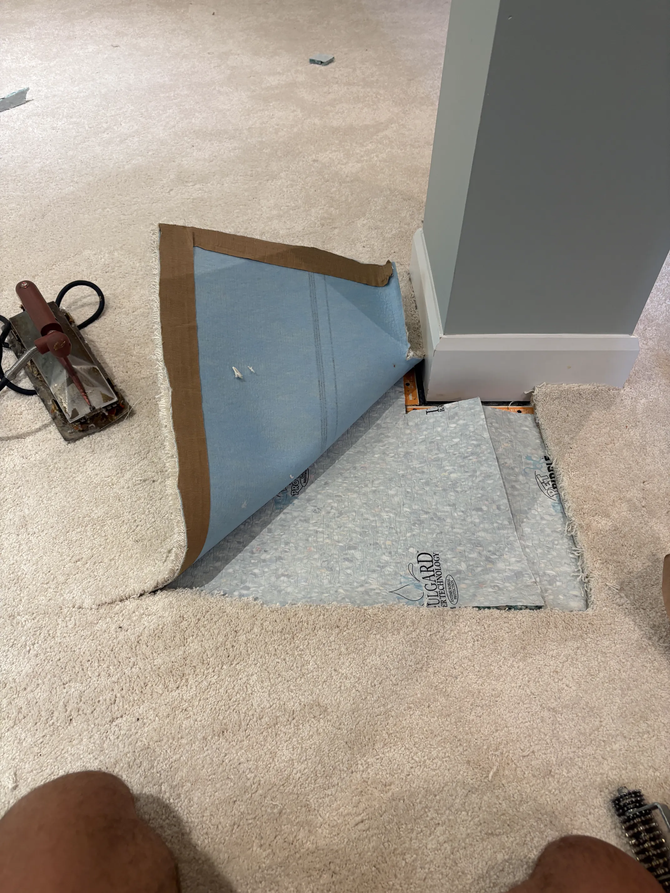 Bridlewood · Tack-strip reset